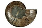 Cut & Polished Ammonite Fossil (Half) - Madagascar #344395-1